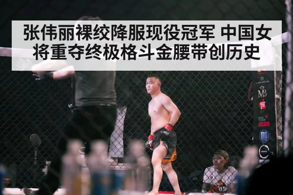 UFC octagon fight night